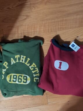 Two GAP Sweaters
